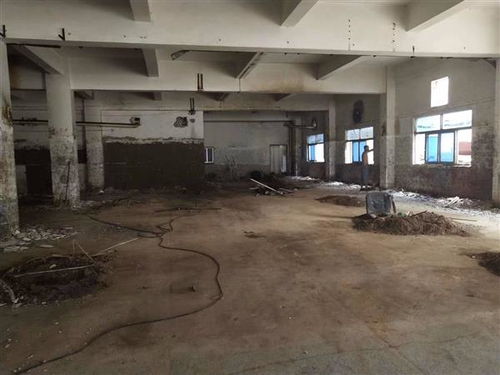 地震無情，數(shù)據(jù)有心 揭秘開平市幼兒園房屋抗震檢測成本的多維考量
